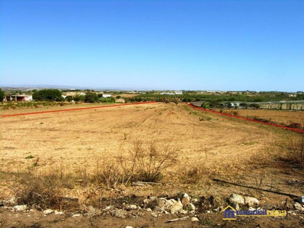 terreno agricolo in vendita a Pachino