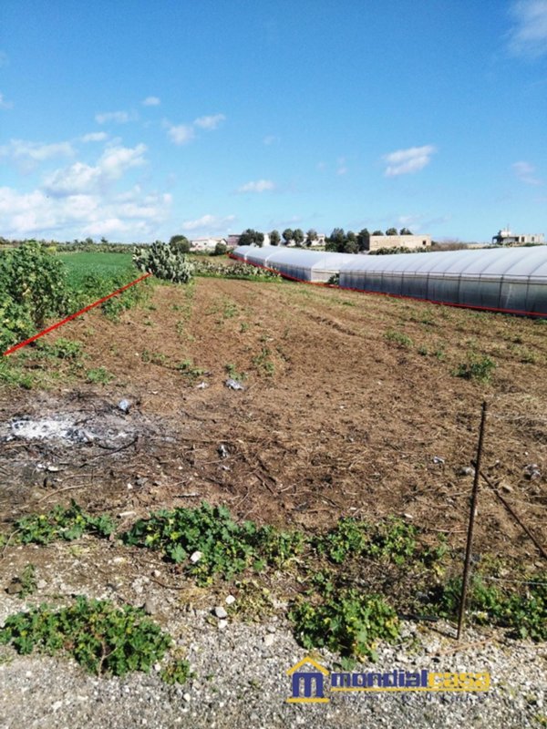 terreno agricolo in vendita a Pachino