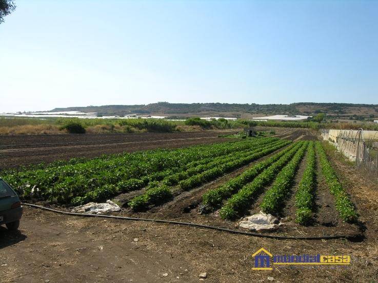 terreno agricolo in vendita a Pachino