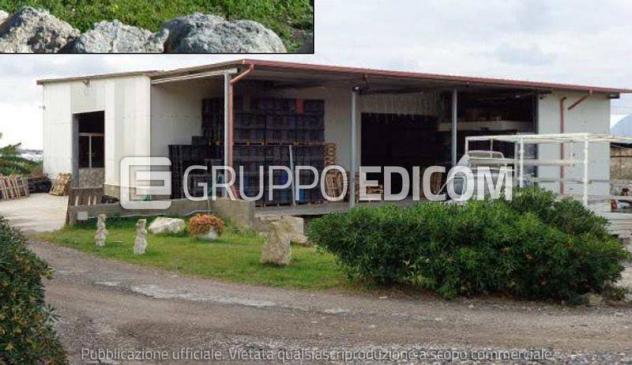 casa indipendente in vendita a Pachino