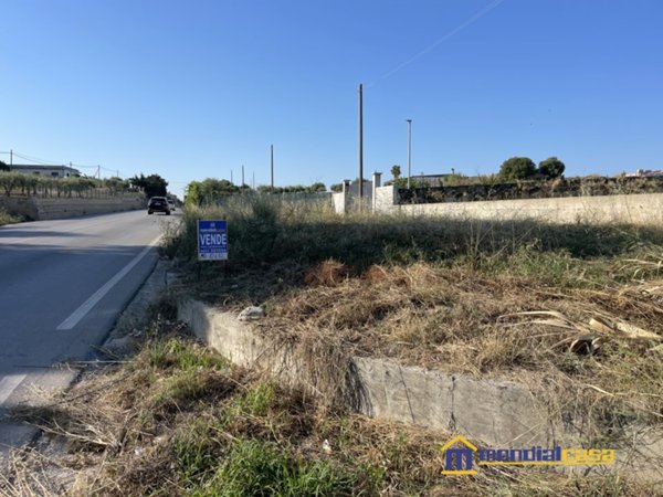 terreno agricolo in vendita a Pachino