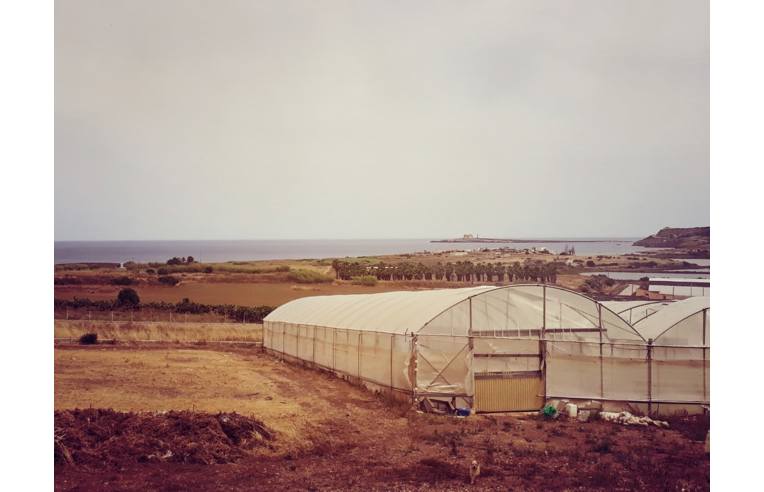 terreno agricolo in vendita a Pachino in zona Marzamemi