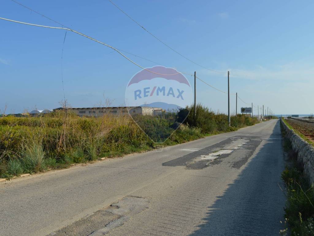 immagine annuncio 0 di 14