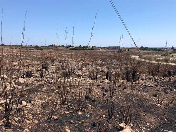 terreno agricolo in vendita a Pachino