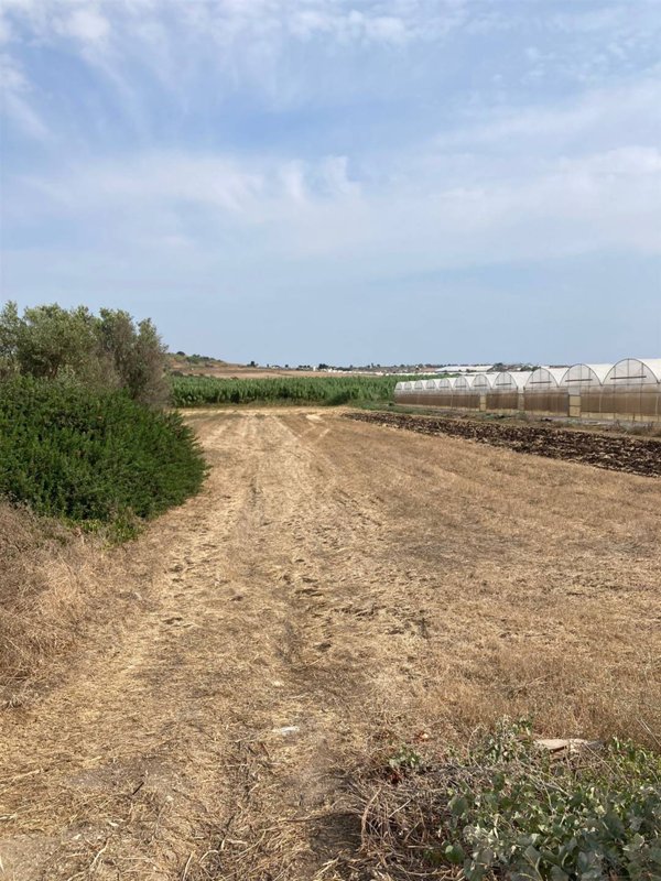 terreno agricolo in vendita a Pachino
