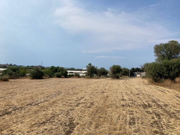 terreno agricolo in vendita a Pachino