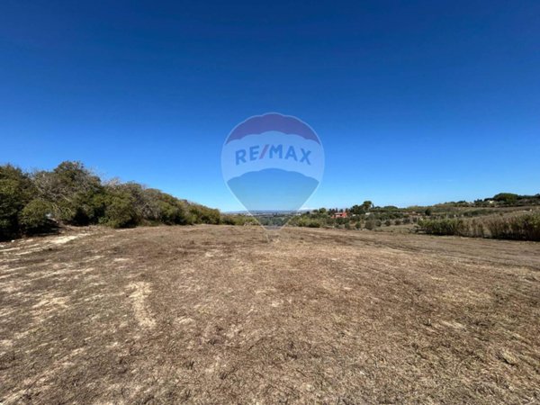 terreno agricolo in vendita a Pachino