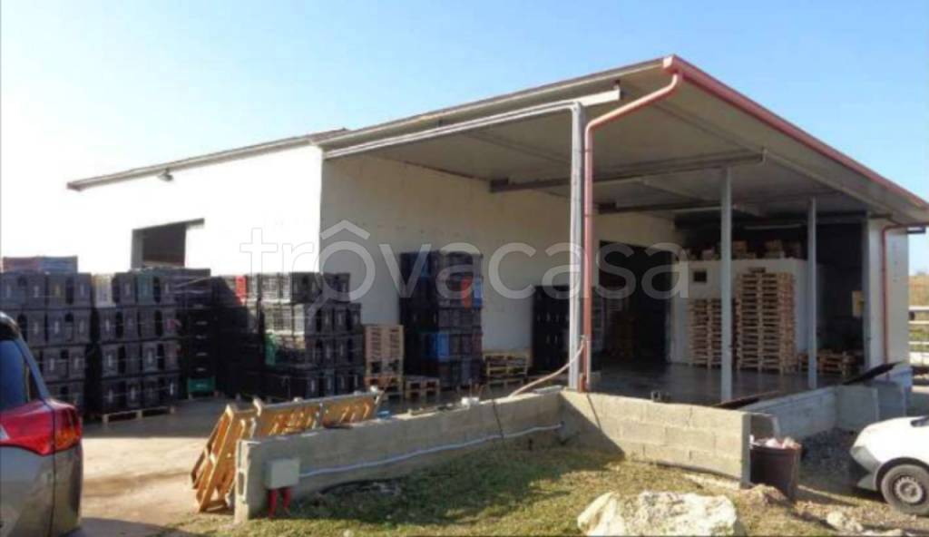 casa indipendente in vendita a Pachino