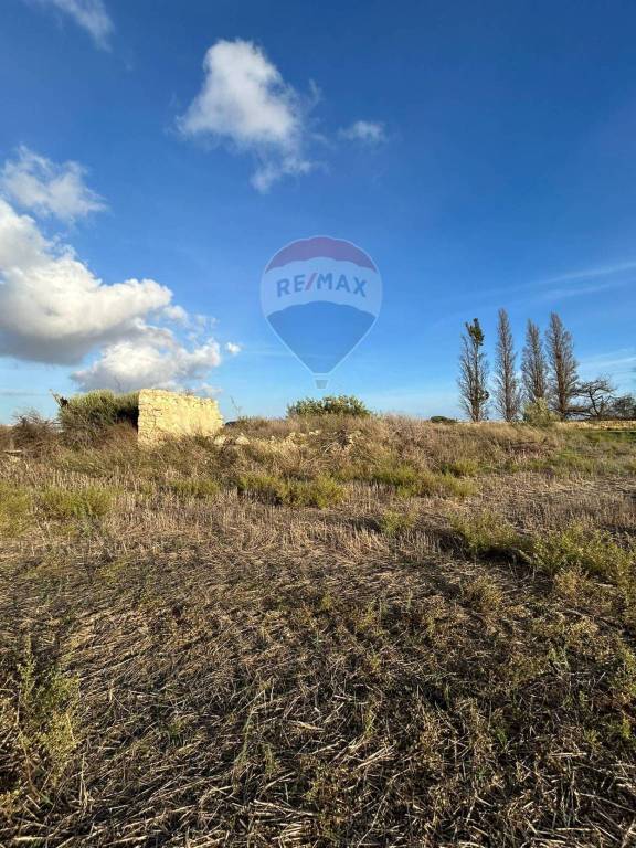 terreno agricolo in vendita a Pachino