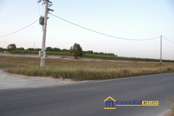 terreno agricolo in vendita a Pachino