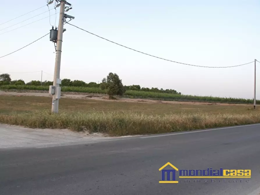 terreno agricolo in vendita a Pachino