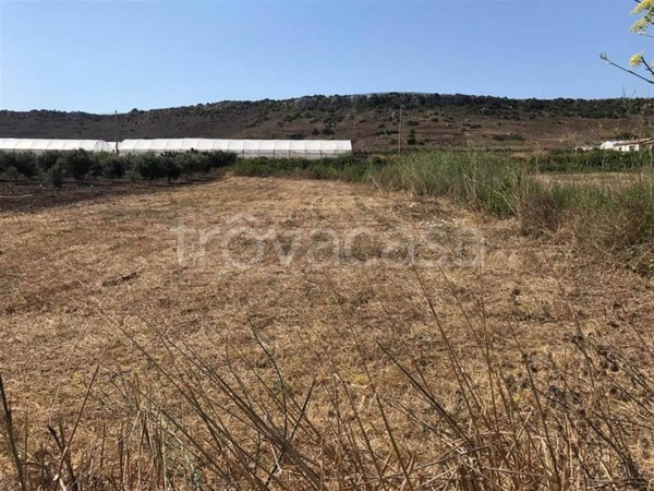 terreno agricolo in vendita a Pachino