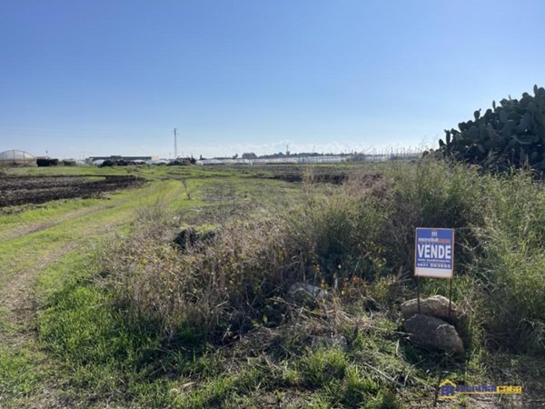 terreno agricolo in vendita a Pachino