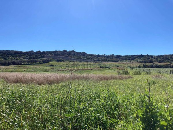 terreno agricolo in vendita a Pachino
