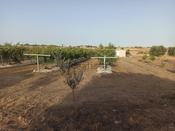 terreno agricolo in vendita a Pachino