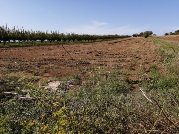 appartamento in vendita a Pachino