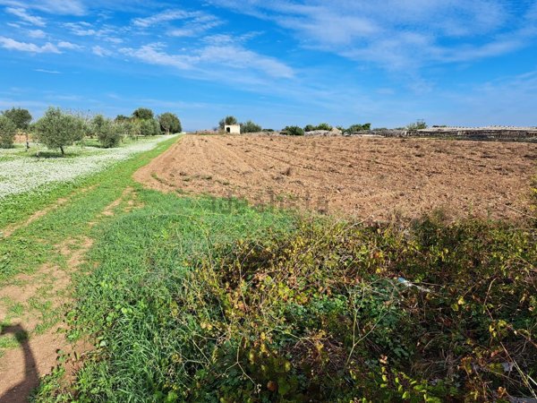 terreno agricolo in vendita a Pachino