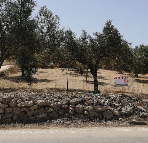 terreno agricolo in vendita a Pachino