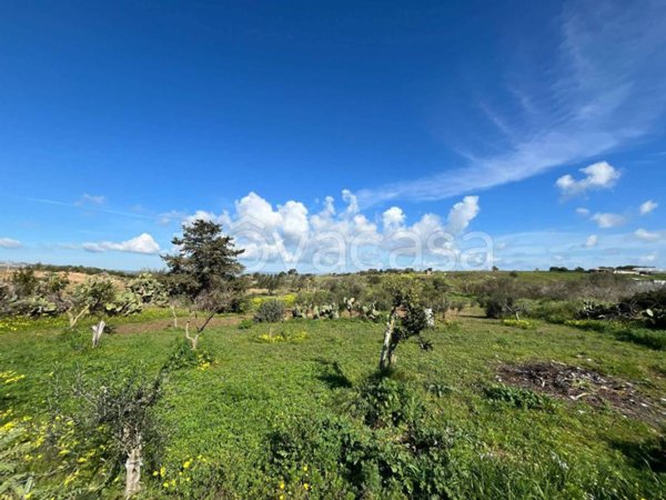 terreno agricolo in vendita a Pachino