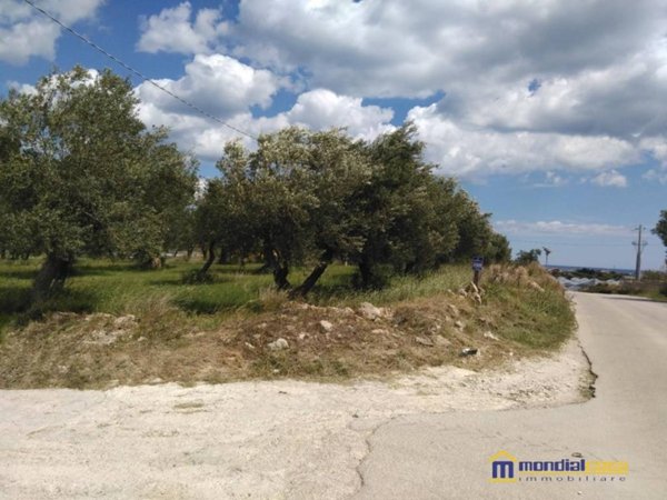 terreno agricolo in vendita a Pachino