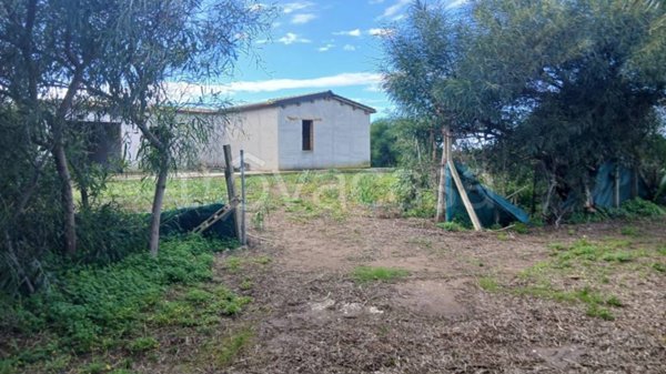 casa indipendente in vendita a Pachino