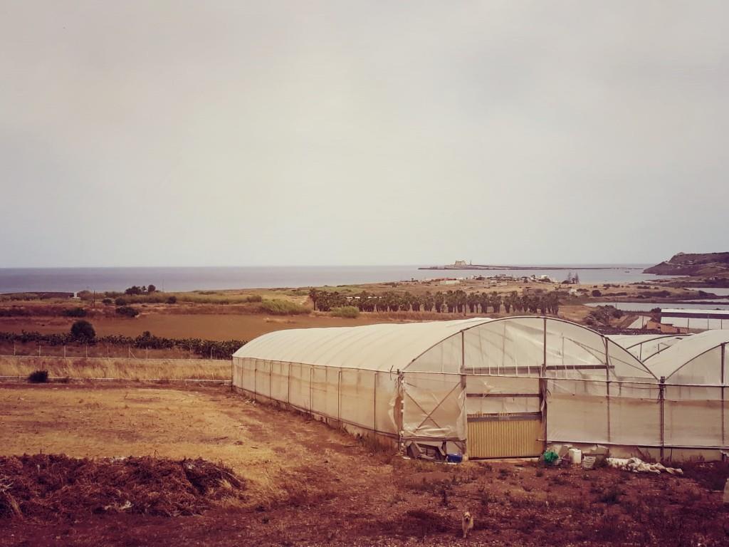 terreno agricolo in vendita a Pachino in zona Marzamemi