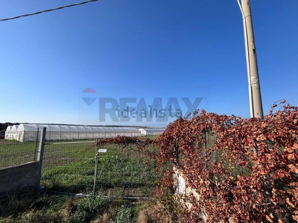 terreno agricolo in vendita a Pachino
