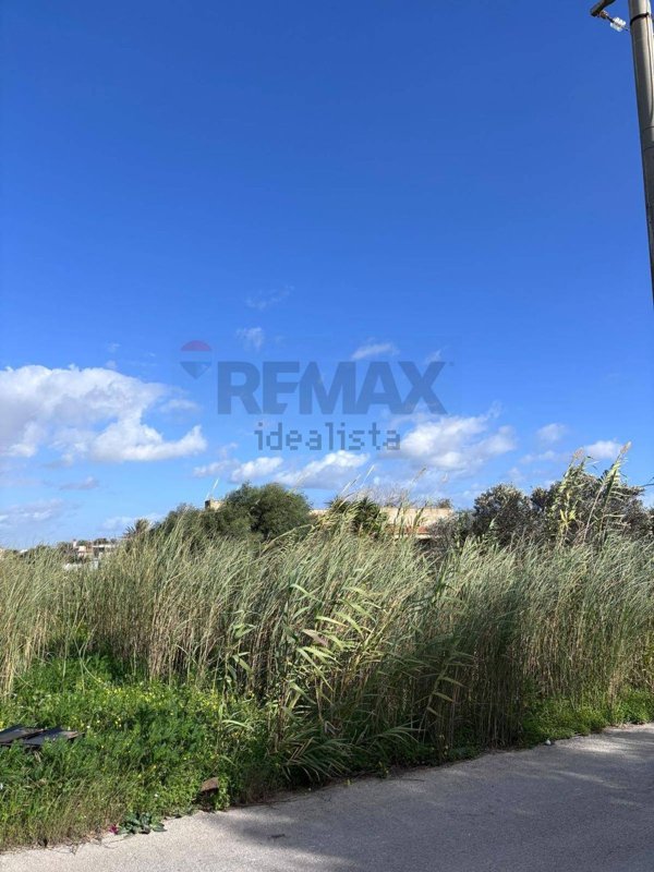 immagine annuncio 0 di 1