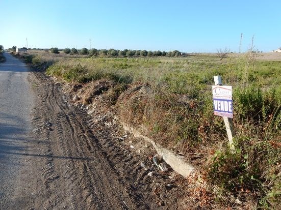 terreno agricolo in vendita a Pachino