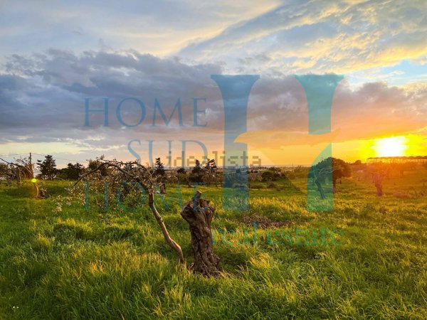 quadrivano in vendita a Pachino