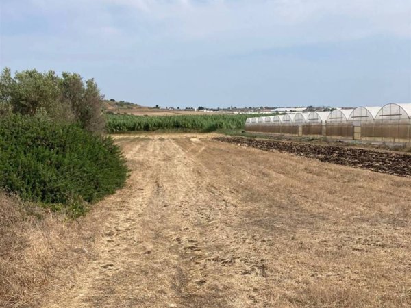 terreno agricolo in vendita a Pachino