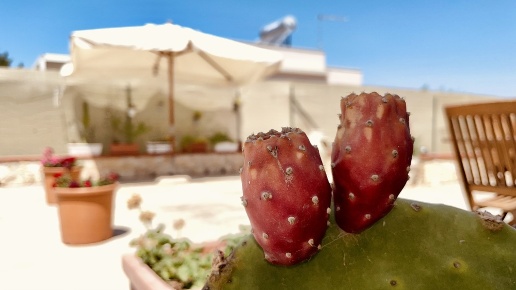 casa indipendente in vendita a Pachino in zona Marzamemi