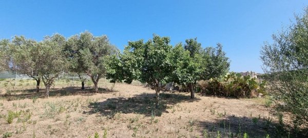 casa indipendente in vendita a Pachino in zona Marzamemi