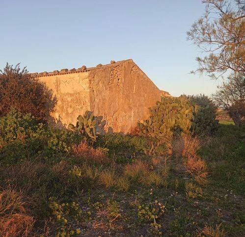 terreno agricolo in vendita a Pachino
