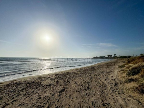 terreno agricolo in vendita a Pachino