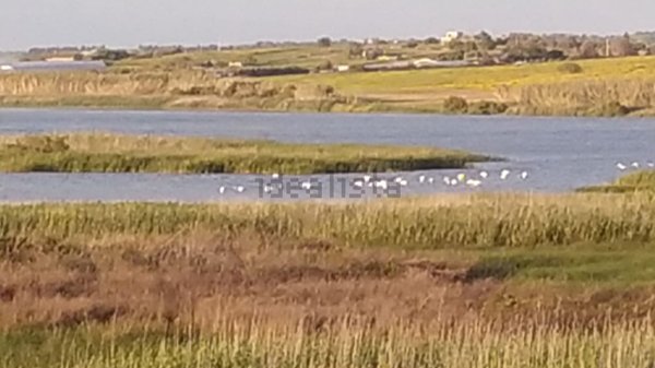 casa indipendente in vendita a Pachino in zona Marzamemi