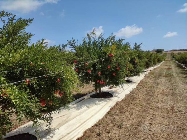 locale di sgombero in vendita a Pachino