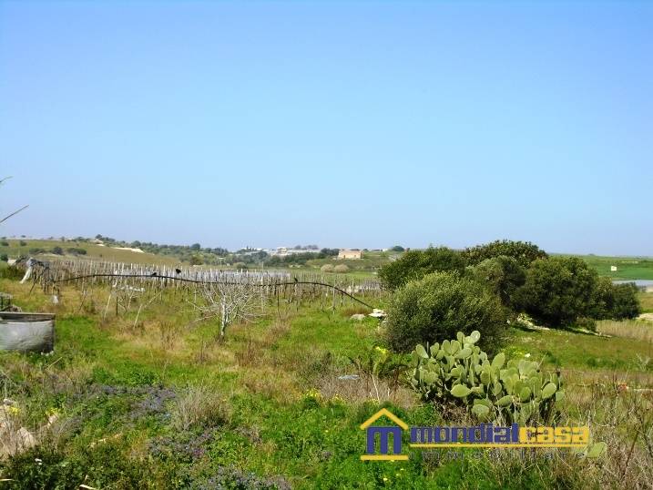terreno agricolo in vendita a Pachino