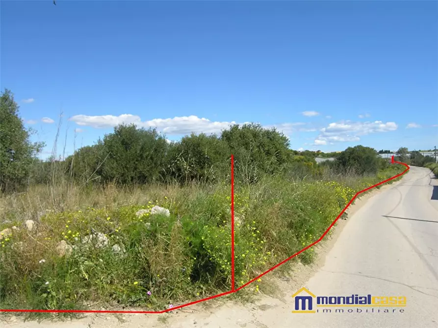 casa indipendente in vendita a Pachino