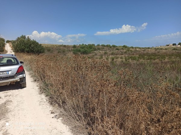 terreno agricolo in vendita a Pachino