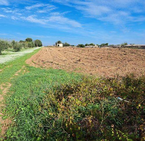 terreno agricolo in vendita a Pachino