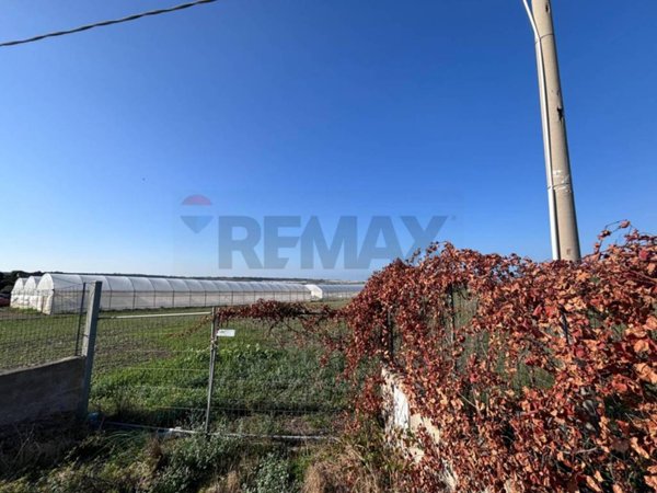 terreno agricolo in vendita a Pachino