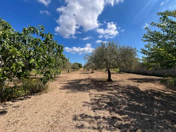 terreno agricolo in vendita a Pachino in zona Marzamemi