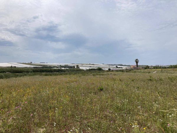 terreno agricolo in vendita a Pachino