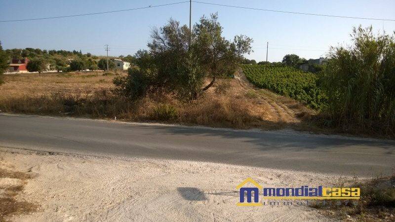 terreno agricolo in vendita a Pachino