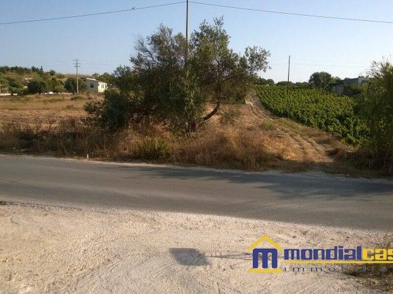 azienda agricola in vendita a Pachino
