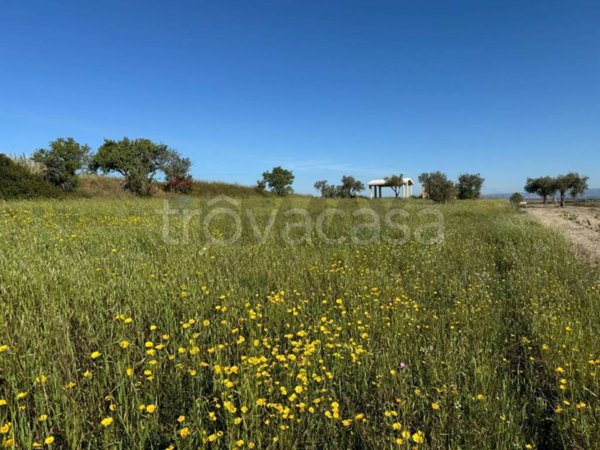 terreno agricolo in vendita a Pachino in zona Marzamemi