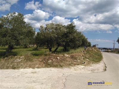 terreno in vendita a Pachino