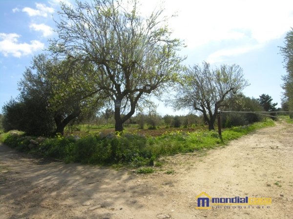 terreno agricolo in vendita a Pachino in zona Marzamemi