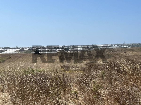 terreno agricolo in vendita a Pachino